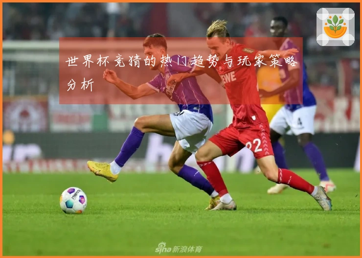世界杯竞猜的热门趋势与玩家策略分析