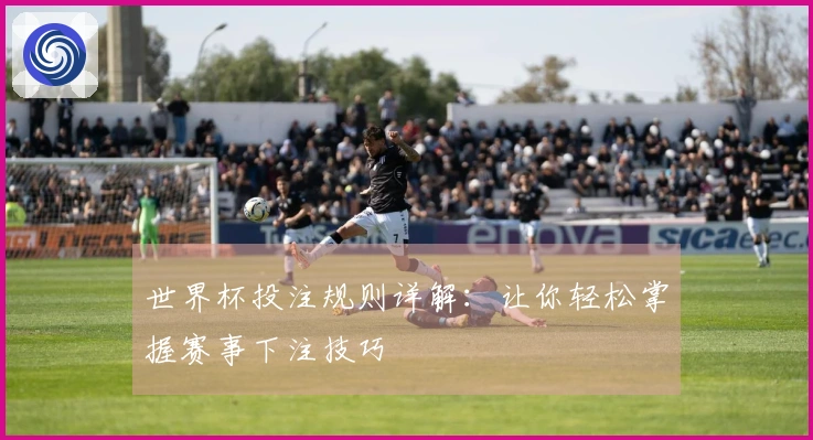 世界杯投注规则详解：让你轻松掌握赛事下注技巧