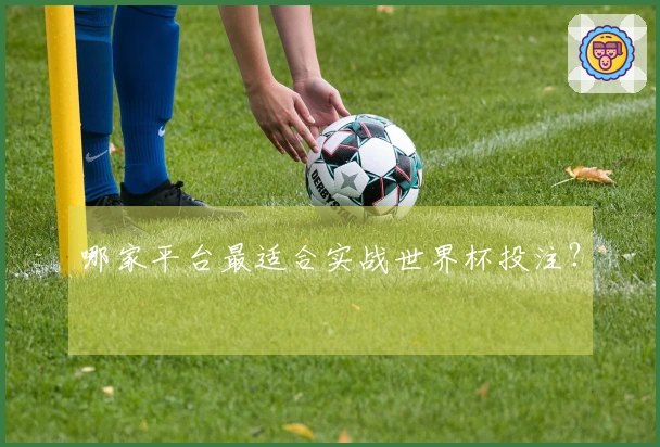哪家平台最适合实战世界杯投注？