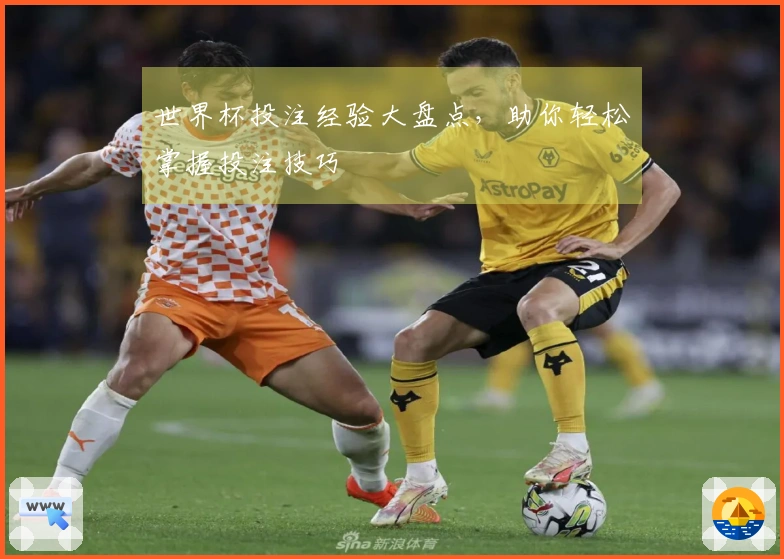 世界杯投注经验大盘点，助你轻松掌握投注技巧